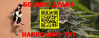 mdpv Владивосток
