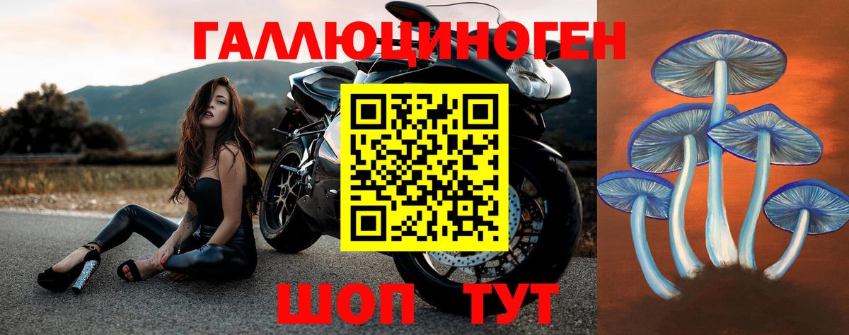 Галлюциногенные грибы MAGIC MUSHROOMS  Галлюциногенные грибы GOLDEN TEACHER  Джанкой  Вход с VPN 